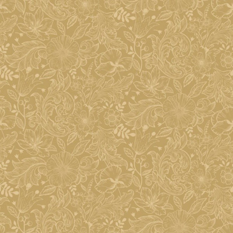 Picture of Wilma - 13127