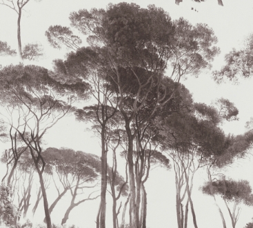 Bild på History of Art - 37651-1