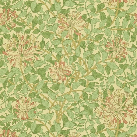 Bild von Honeysuckle Green/Beige/Pink - DMC1HS103
