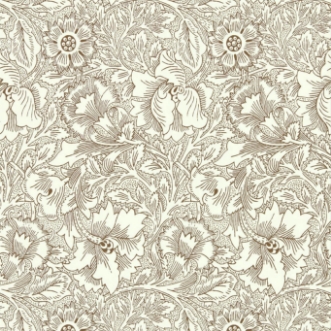 Image de Poppy Cream/Chocolate - 216957