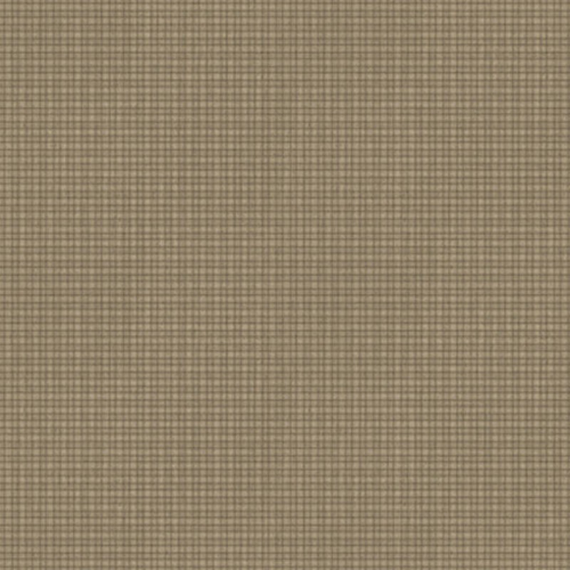 Bild på Medina - 19120