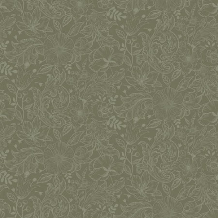 Picture of Wilma - 13129