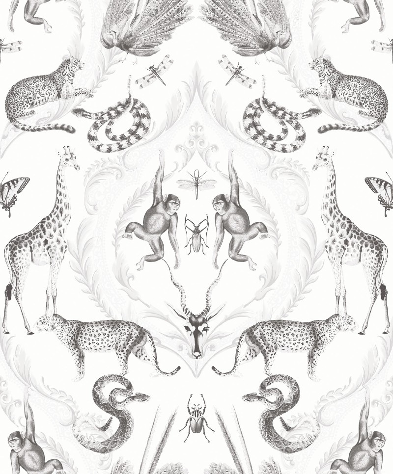 Image de Bazaar - G78314