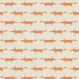 Afbeeldingen van Little Fox - NSWA110841