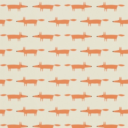 Afbeeldingen van Little Fox - NSWA110841