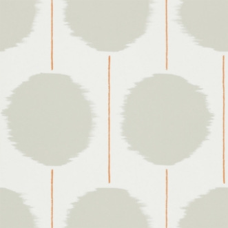 Picture of Kimi - NSWA110854