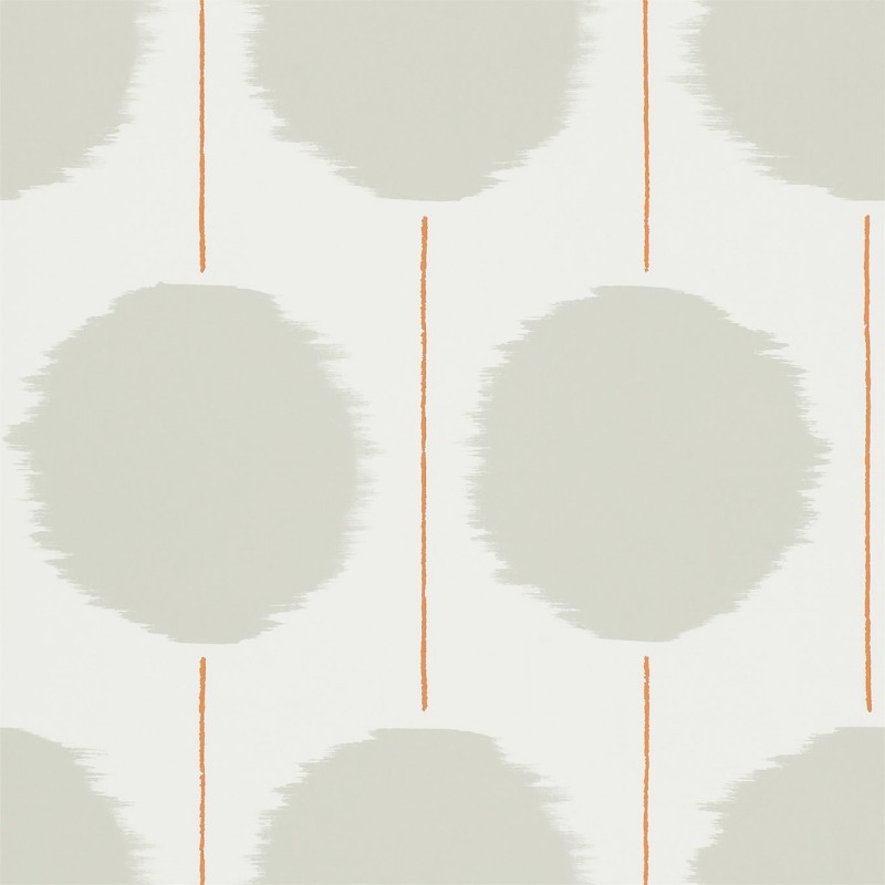 Picture of Kimi - NSWA110854