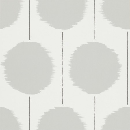 Picture of Kimi - NSWA110855