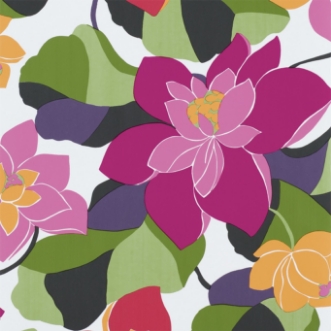 Image de Diva - NSWA110860