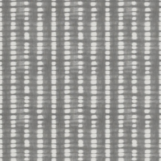 Picture of Kali - NSWA110866