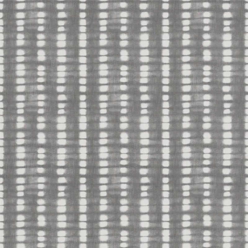 Picture of Kali - NSWA110866