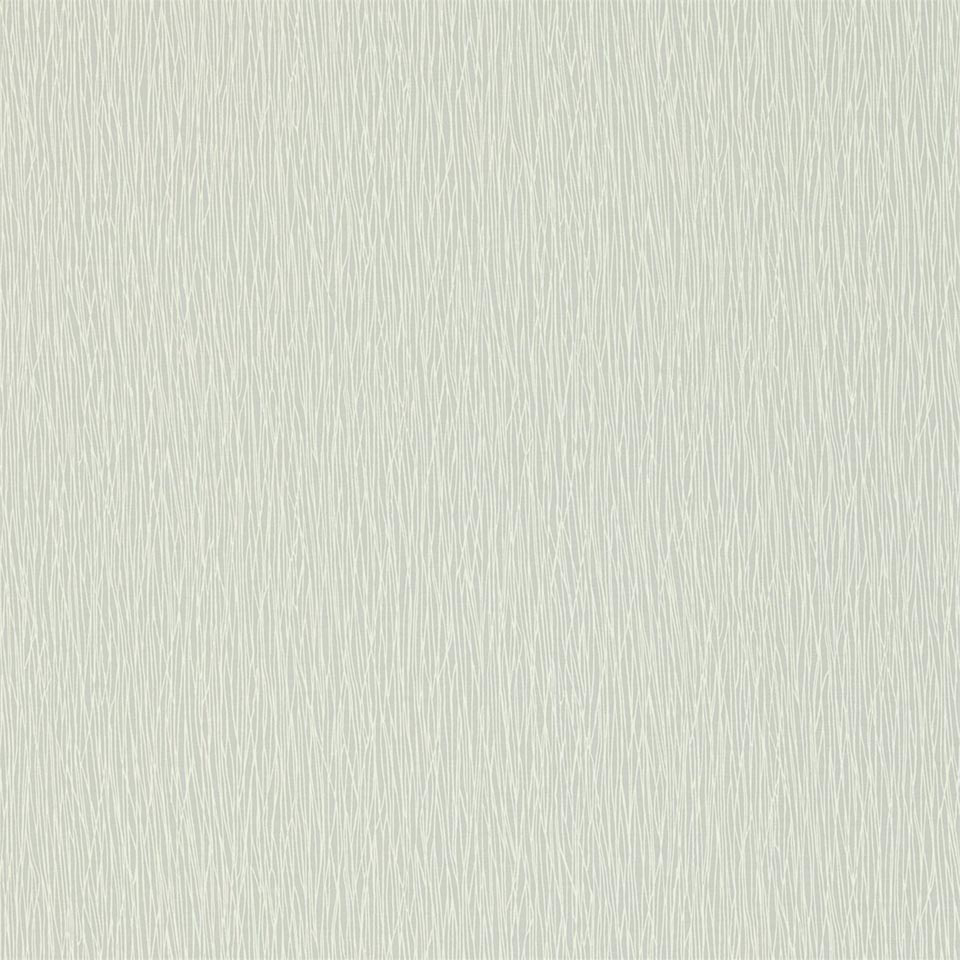 Picture of Bark - NSWA110872