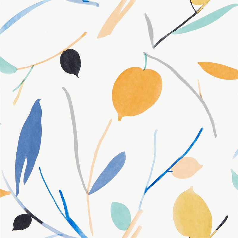 Image de Oxalis - 111995