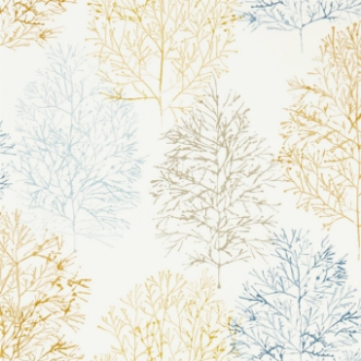 Picture of Soetsu - 112001