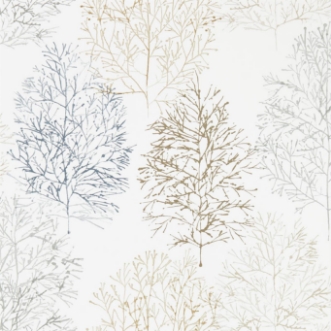 Picture of Soetsu - 112003