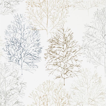 Picture of Soetsu - 112003