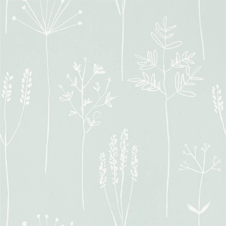 Picture of Stipa - 112020