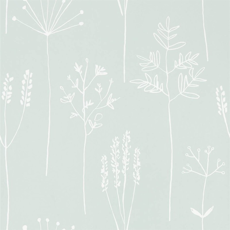 Picture of Stipa - 112020