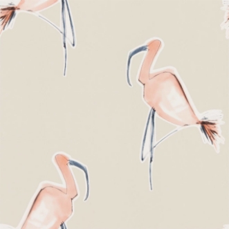 Picture of Zanzibar - 111998