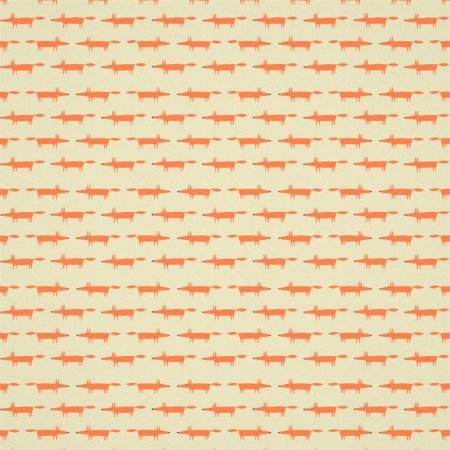 Image de Little Fox - 112262