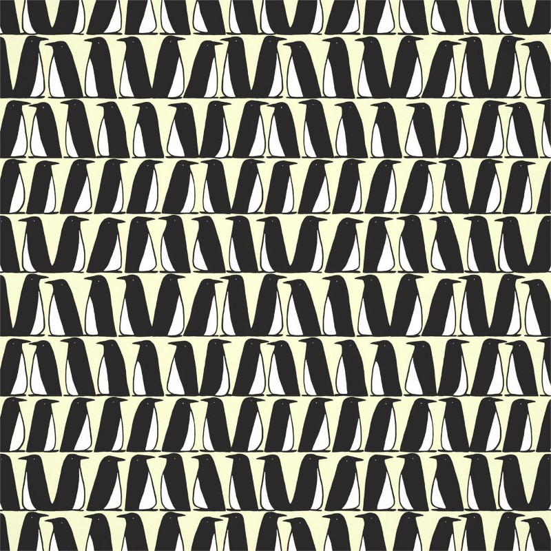 Picture of Pedro - 112224