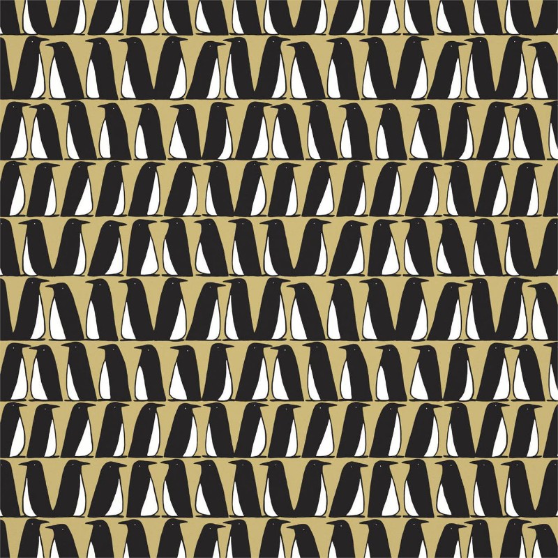 Picture of Pedro - 112225