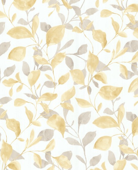 Afbeeldingen van Grenada - 367024