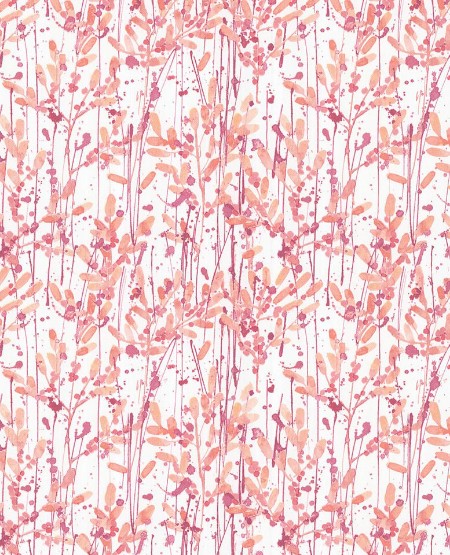 Afbeeldingen van Grenada - 367042