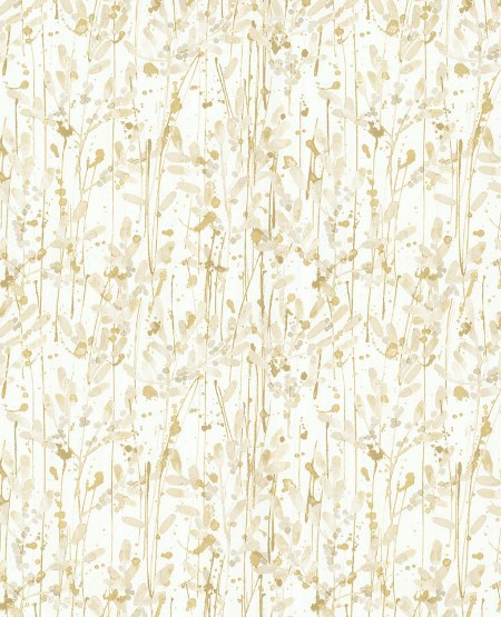 Afbeeldingen van Grenada - 367045