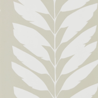 Picture of Malva - NLOH111312