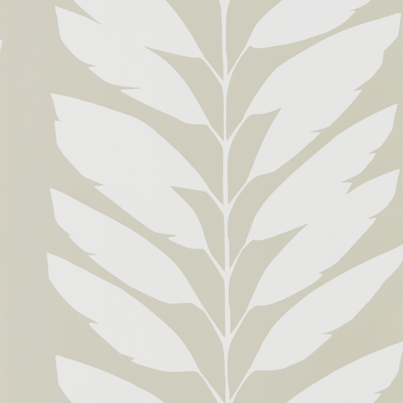 Picture of Malva - NLOH111312