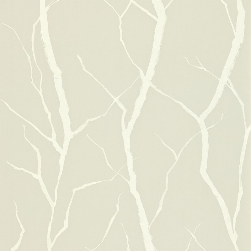 Image de Branch - NMEL110239