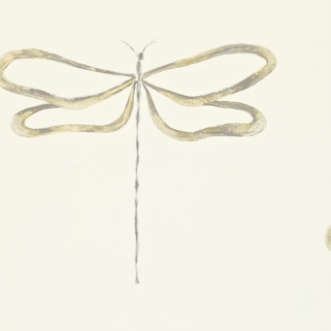 Bild på Dragonfly - NMEL110243