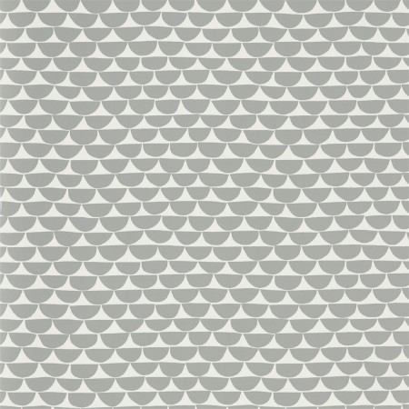 Picture of Kielo - NNOU111533