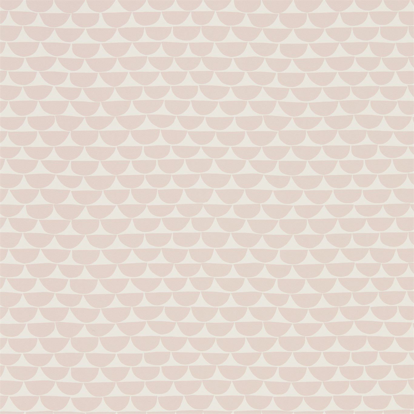 Picture of Kielo - NNOU111534