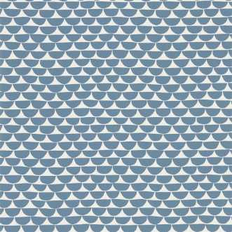 Picture of Kielo - NNOU111537