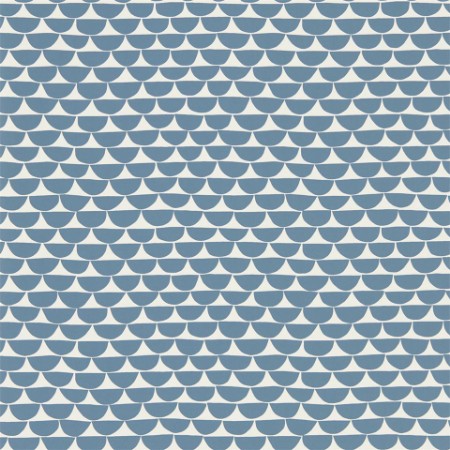 Picture of Kielo - NNOU111537