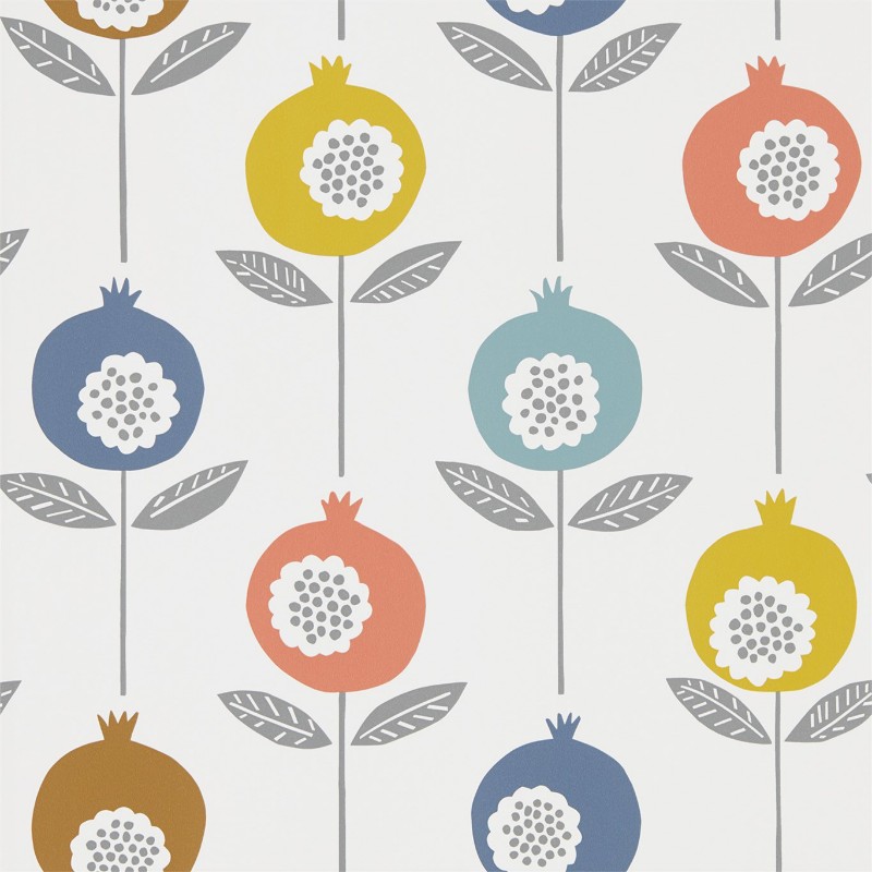 Picture of Pepino - NNOU111542