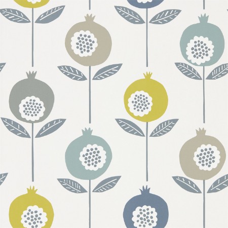 Picture of Pepino - NNOU111544