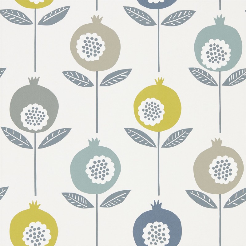 Picture of Pepino - NNOU111544