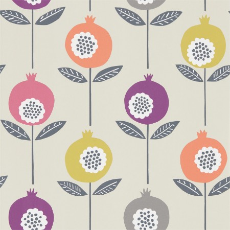 Picture of Pepino - NNOU111545