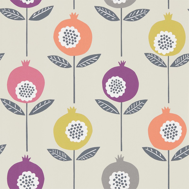 Picture of Pepino - NNOU111545