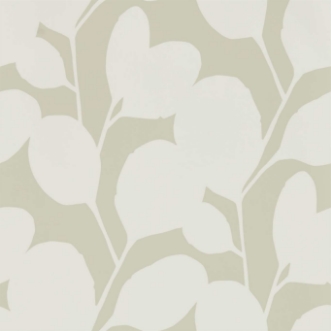 Bild på Ocotillo - NNUE111819