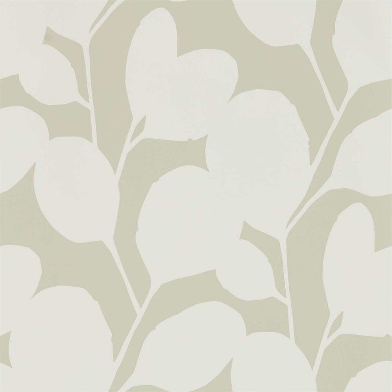 Picture of Ocotillo - NNUE111819