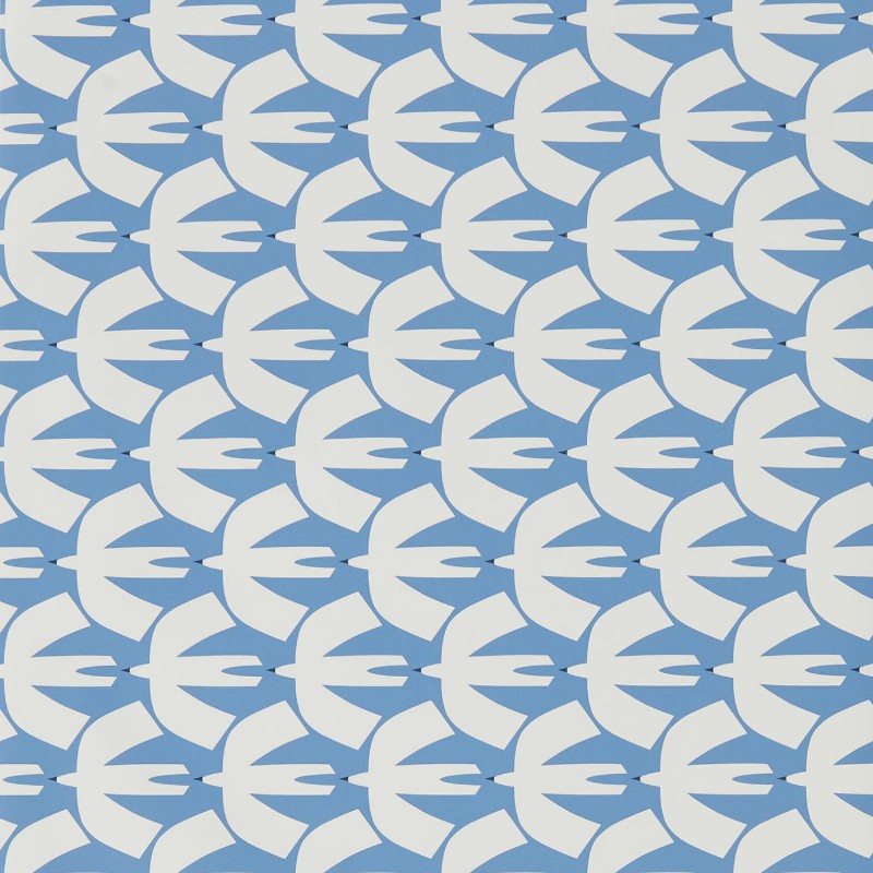 Image de Pajaro - NNUE111828