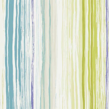 Image de Zing - NSWA110824