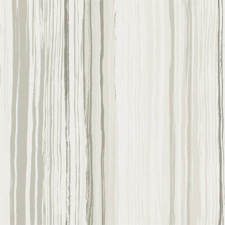 Image de Zing - NSWA110825