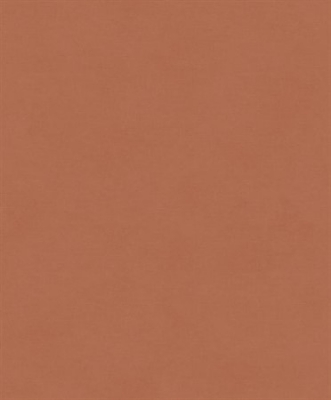 Picture of Rythm terra - RYT004