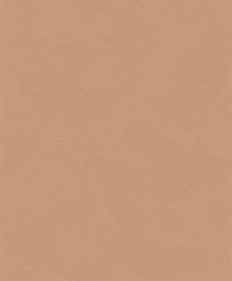 Picture of Rythm camel - RYT005