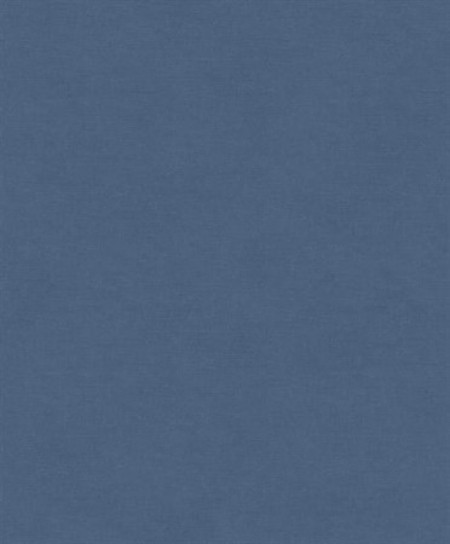 Picture of Rythm whale - RYT010